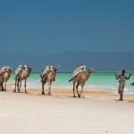 Two Day Djibouti City and Lake Assal Tour