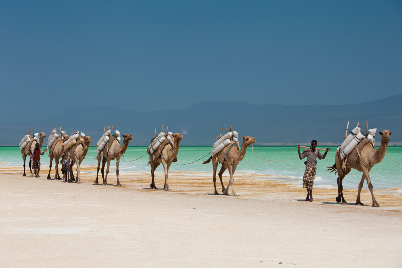Two Day Djibouti City and Lake Assal Tour