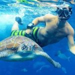 Two Day Whale Shark and Lake Assal Tour