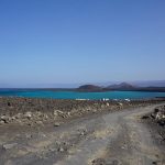 Whale Shark and Arta Beach Tour