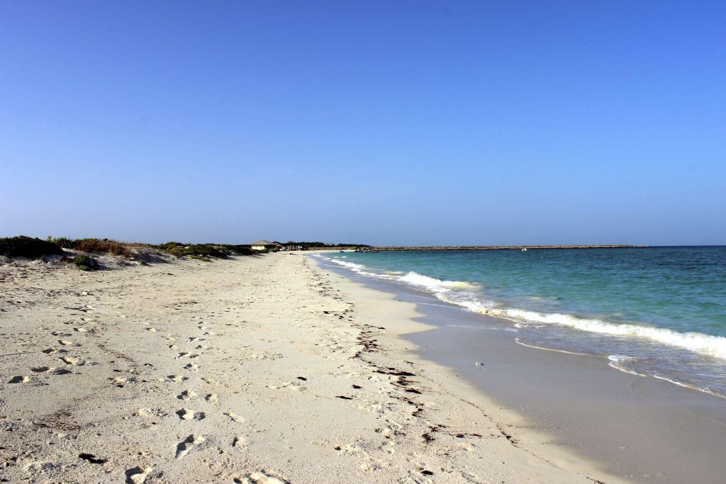 Two Day Moucha Island and Lake Assal Tour
