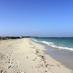Two Day Moucha Island and Lake Assal Tour