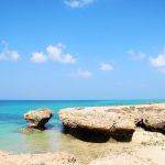Moucha and Maskali Island Tour