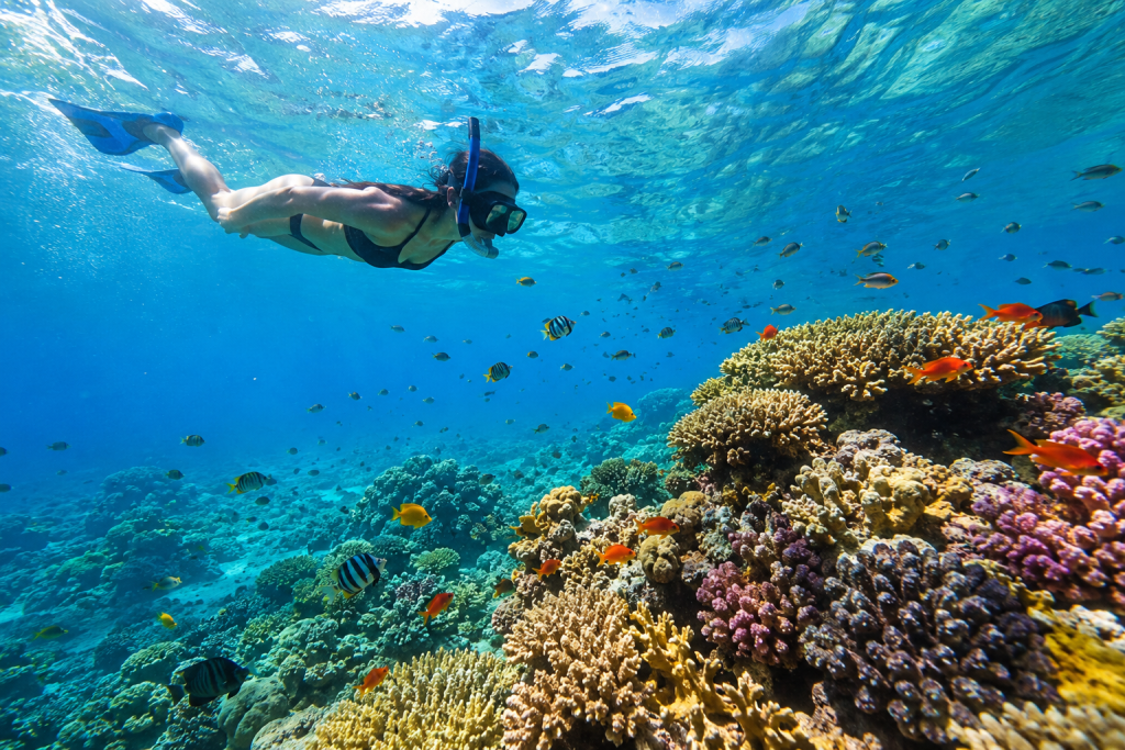 Three Day Djibouti Safari Tour