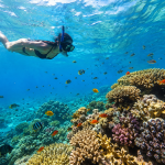 Three Day Djibouti Safari Tour